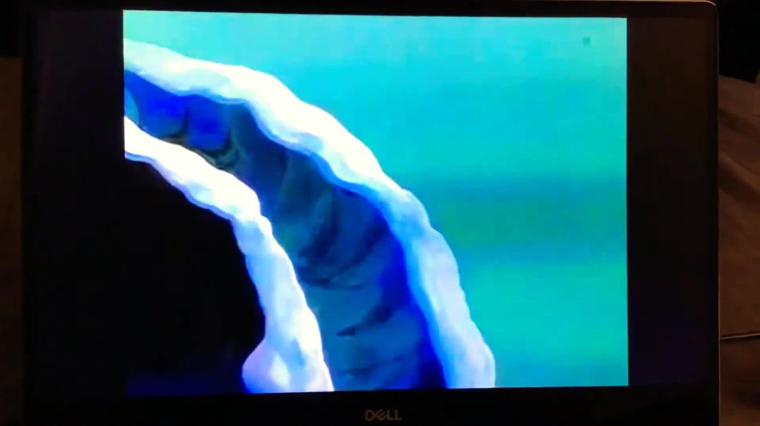 Tecknat Barn Svenska:Den Lilla Sjöjungfrun TV Serie (1995-1996) DVDRIPPEN (Engelska) Trailer (3D)